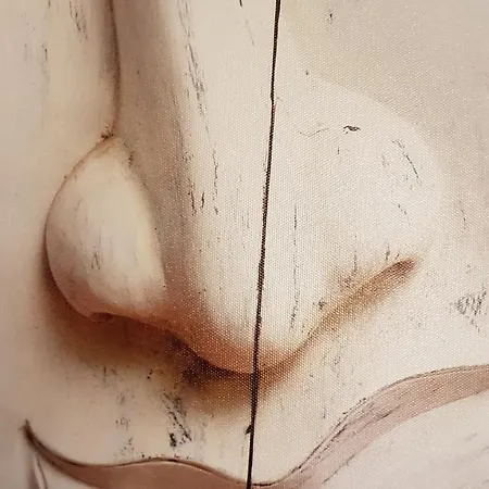 Le Petit Logis De Tinteniac