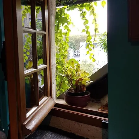 Le Petit Logis De Tinteniac Angers